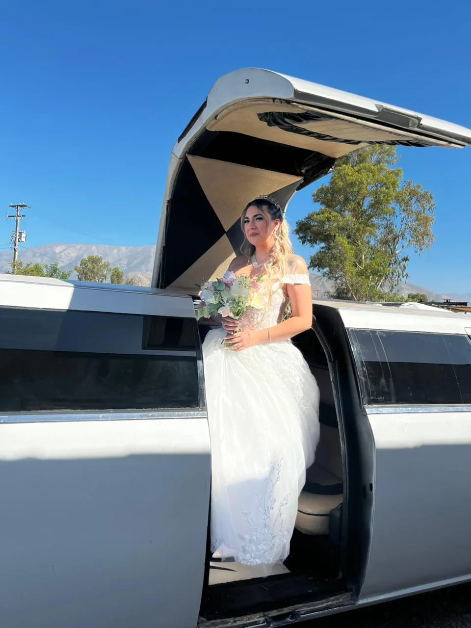 Novia saliendo de la limusina el día de su matrimonio en Santiago
